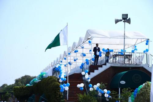 csc_polo_11