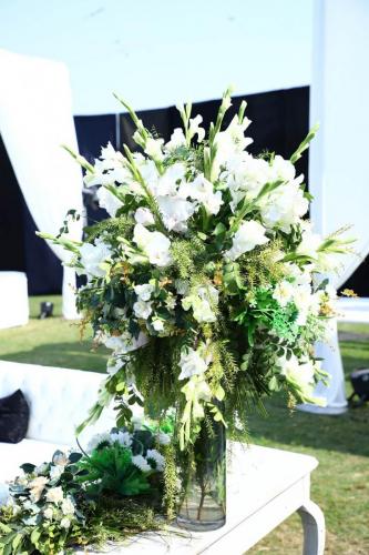 csc_polo_19
